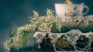 Table cup vase flowers lace - elinor proby adams free wallpaper