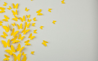 Yellow butterflies magic realism storybook - a white wall free wallpaper