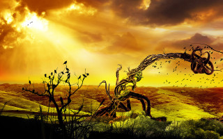 Tree bird sky field autumn - a painting of a tree free wallpaper