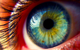 Blue eye long eyelashes black 2 - evelyn de morgan free wallpaper