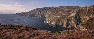 Mountain lake cliff purpleflowers forest - anne rigney free wallpaper