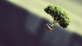Tree bird plant greenhair 3d - chris labrooy free wallpaper