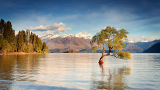 Lake tree mountains clouds sky - the middle of a lake free wallpaper