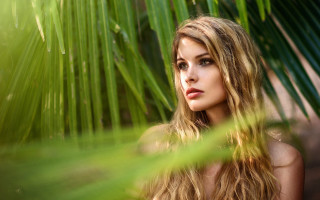 Woman longhair palm tree blurry - annabel eyres free wallpaper