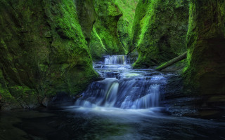 Small waterfall green forest mossy 2 - the rock free wallpaper