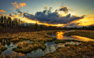 Sunset marsh stream trees clouds - alexander brook free wallpaper