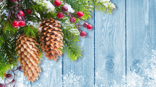 Pinecone berries winter snowflakes folkart - winter free wallpaper for desktop