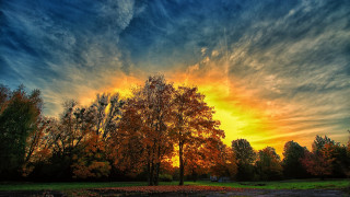 Sunset tree clouds autumn bush - a tree in the foreground free wallpaper