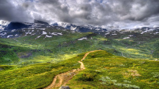 Dirt road grassy hill mountain - a grassy hill free wallpaper