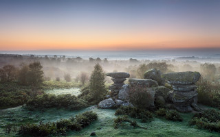 Misty sunrise field rocks trees - distant free wallpaper