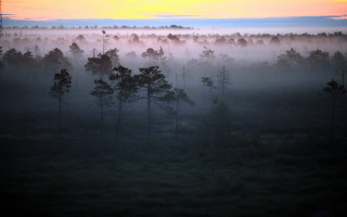 Foggy forest sunset mountain clouds - the foreground and a sunset in the background free wallpaper