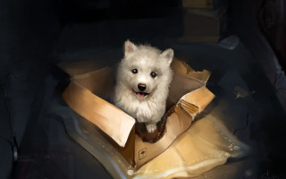 White dog tie collar digital - a box free wallpaper