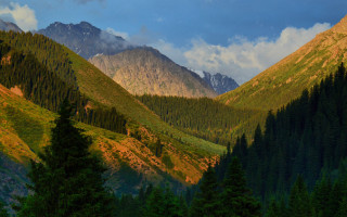 Mountain range forest cloudy sky 2 - a forest in the foreground free wallpaper