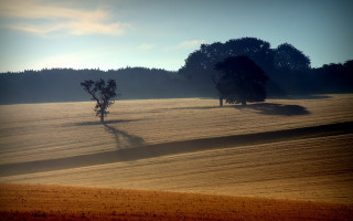 Field trees hill blue sky - tree and a hill in the background free wallpaper