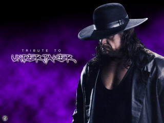 Man hat leather jacket purple 2 - bryan organ free wallpaper