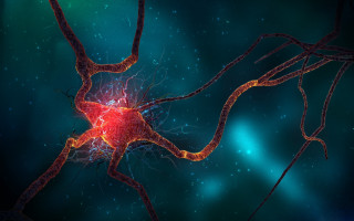 Neoplasticism microscopic aurora fireworks astronaut - biopunk free wallpaper