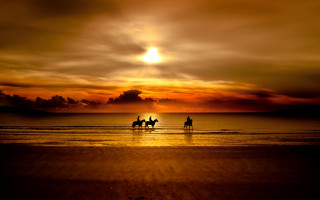 Beach horses sunset clouds landscape - egyptian art free wallpaper