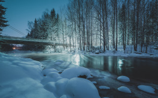 Snowy forest river bridge night - snow next free wallpaper