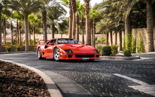Red sports car street palm - outrun free wallpaper