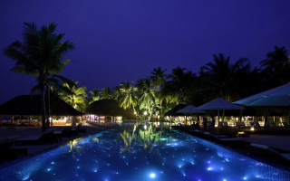 Night pool palm trees umbrellas - bruce munro free wallpaper