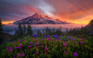 Mountain clouds flowers colorful sky 2 - mystical free wallpaper