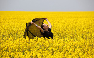 Woman field yellow flowers black - a woman in a field free wallpaper