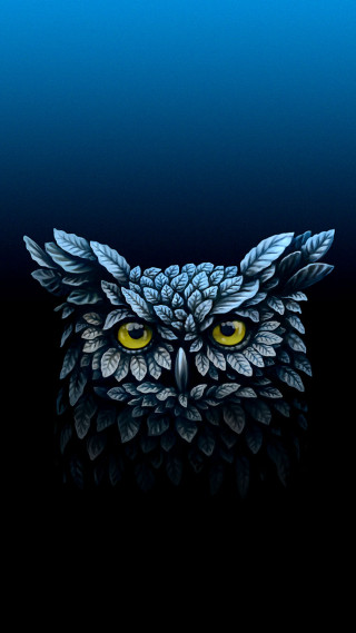 Owl yellow eyes night sky - the dark night sky free wallpaper