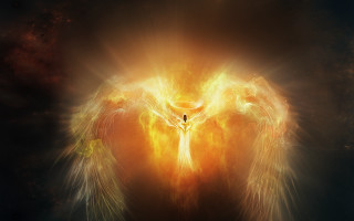 Fiery bird embers magic explosion - radiant free wallpaper