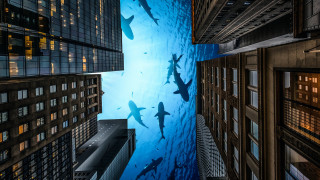 Cityscape tokyo river surreal matte - surreal photography free wallpaper
