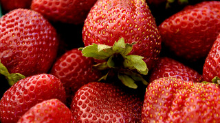 Strawberries leaves bluebowl closeup impressionism - delaunay free wallpaper