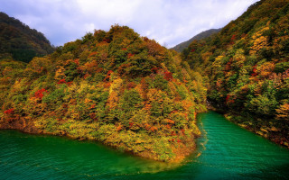 River forest blue sky autumn - beautiful scenery free wallpaper for desktop