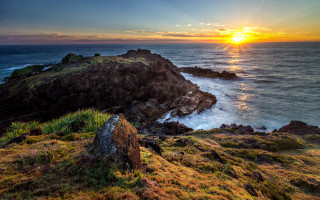 Sunset ocean rocky shore grass - a sunset over the ocean free wallpaper