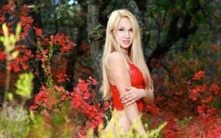 Red bikini woman flower field - portrait photography free wallpaper