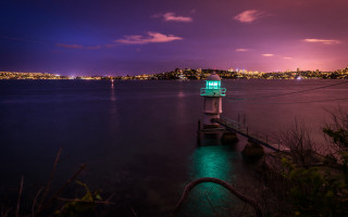 Dock light night city purple - a city in the background free wallpaper