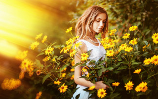 Girl white dress yellow flower - a bouquet free wallpaper