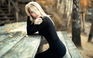 Woman forest bench blonde portrait - a bench in a forest free wallpaper