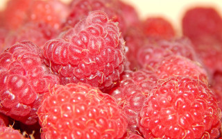 Raspberries closeup macro blurry fire - raspberry free wallpaper