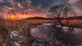 Tree sunset stream snow field - beautiful free wallpaper for desktop