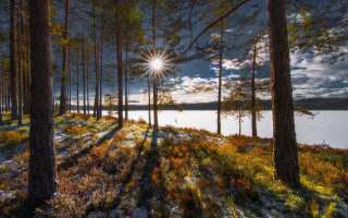 Sunshine snowy forest lake autumn - the ground and grass free wallpaper
