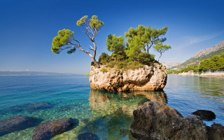 Small island tree ocean ecological - a small island free wallpaper