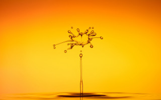 Water drop puddle yellow background - studio photography free wallpaper