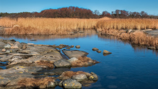 Hudson river rocks water dry - rock and water free wallpaper