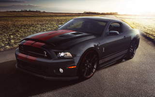 Mustang sunshine road grass field - the sun shining behind free wallpaper
