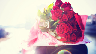 Red roses pink wrapper outdoor - red rose free wallpaper
