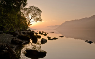 Lake rocks trees sunset silhouette - a tree in the foreground free wallpaper