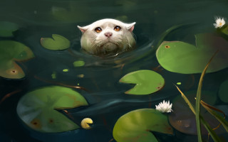 Cat swimming pond lilies magic - mouth free wallpaper