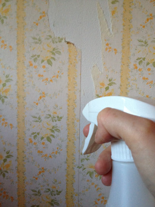 Person holding spray bottle torn - a person holding free wallpaper