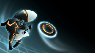 Flying cat ring black glow - 2 d game art free wallpaper