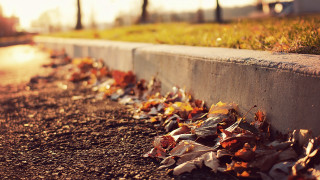 Autumn leaves street light blurry - florianne becker free wallpaper