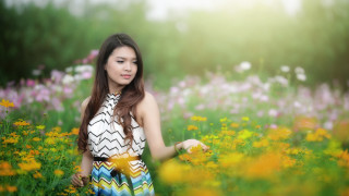 Woman flower field yellow braid - a yellow flower free wallpaper
